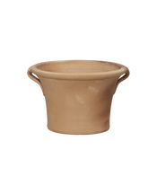 Ifigenia Planter