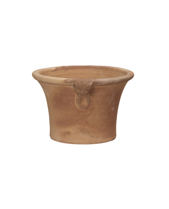 Ifigenia Planter
