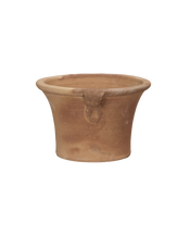 Ifigenia Planter