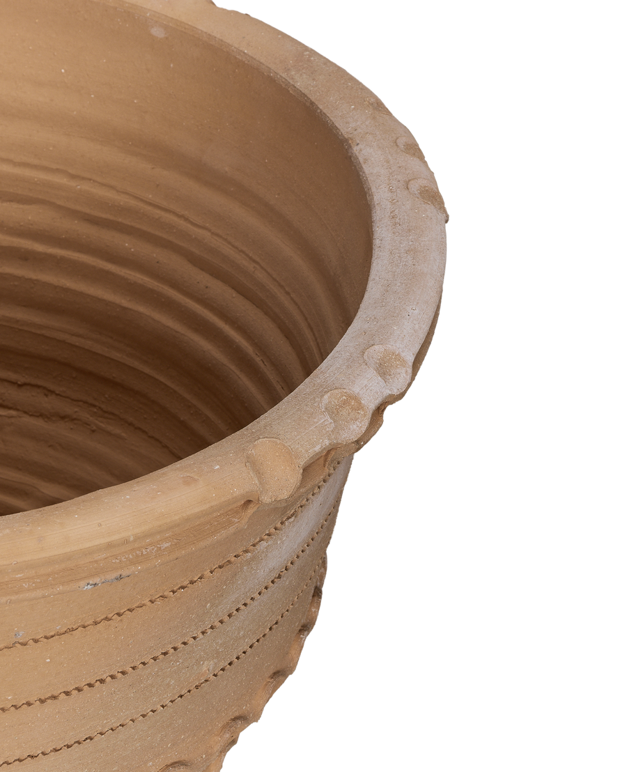Vasilikos Stomosa Planter back view