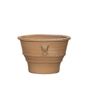 Vasilikos Stomosa Planter
