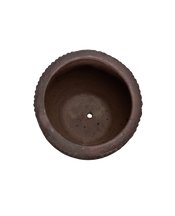 Sienna Wide Mouth Planter