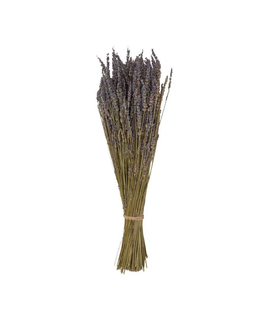 Lavender Bunch