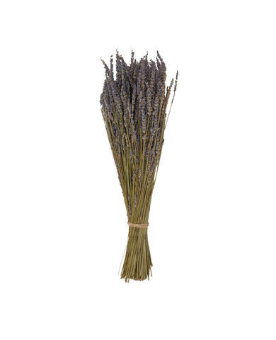 Designed Lavender Bunch from Domestic made of Lavender