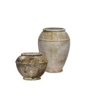 Willy Guhl Planter - Jardiniere Assorted