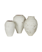 Olive Jar - White Wash