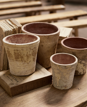 Flower Pot