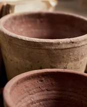 Flower Pot