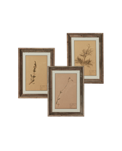 Les Fleurs du Temps - Assorted