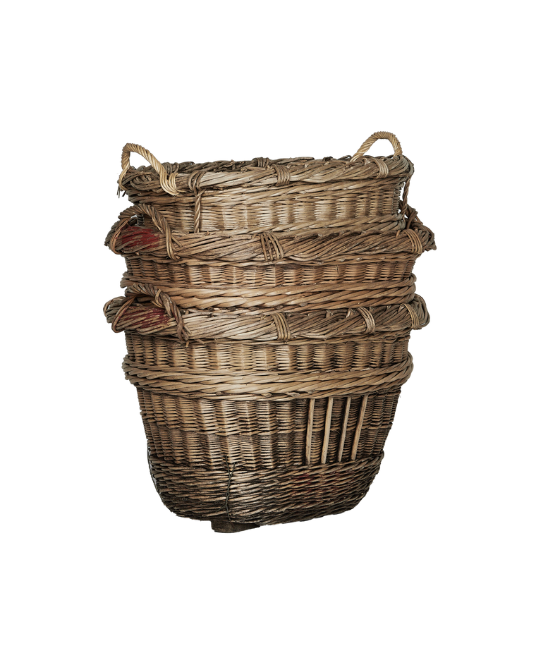 Champagne Grape Basket - Assorted