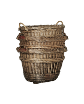 Champagne Grape Basket - Assorted