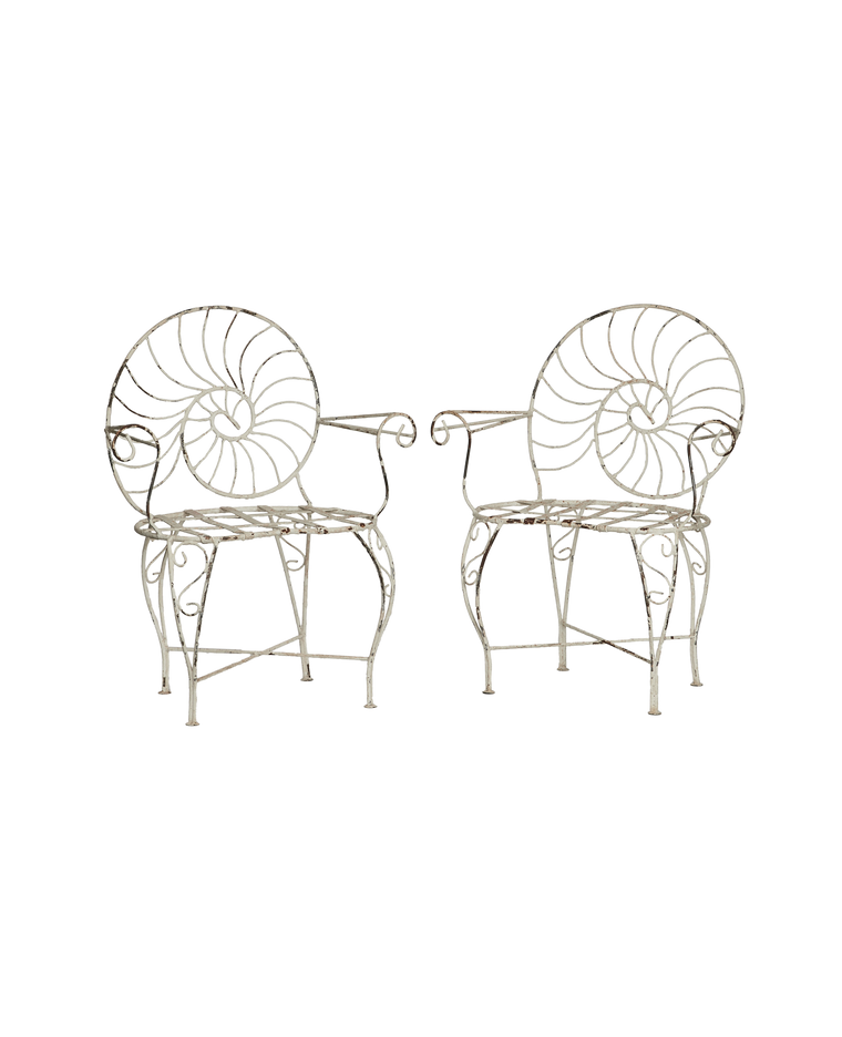 Nautilus Shell Back Chair