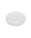 Oyster Plate - I