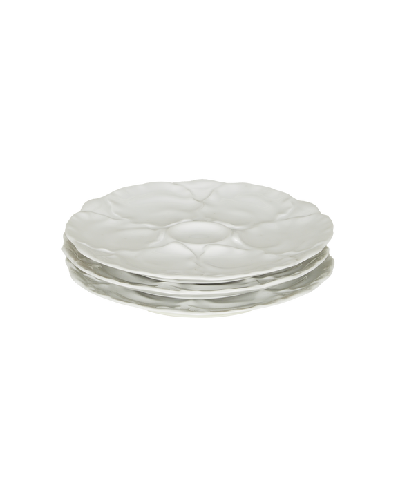 Oyster Plate - II
