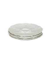 Oyster Plate - II