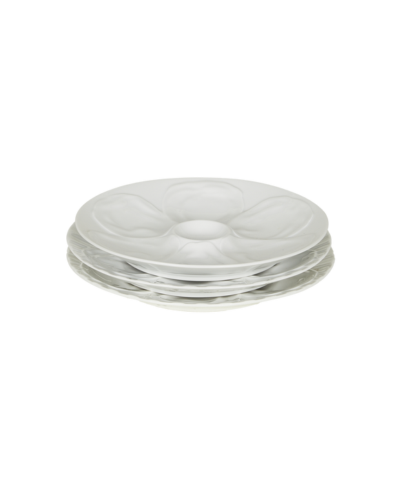 Oyster Plate - IV