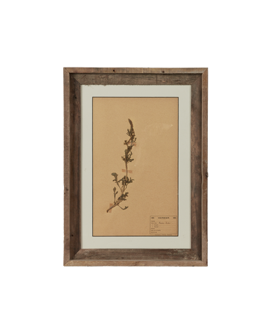 Antique Les Fleurs du Temps from France made of Canvas