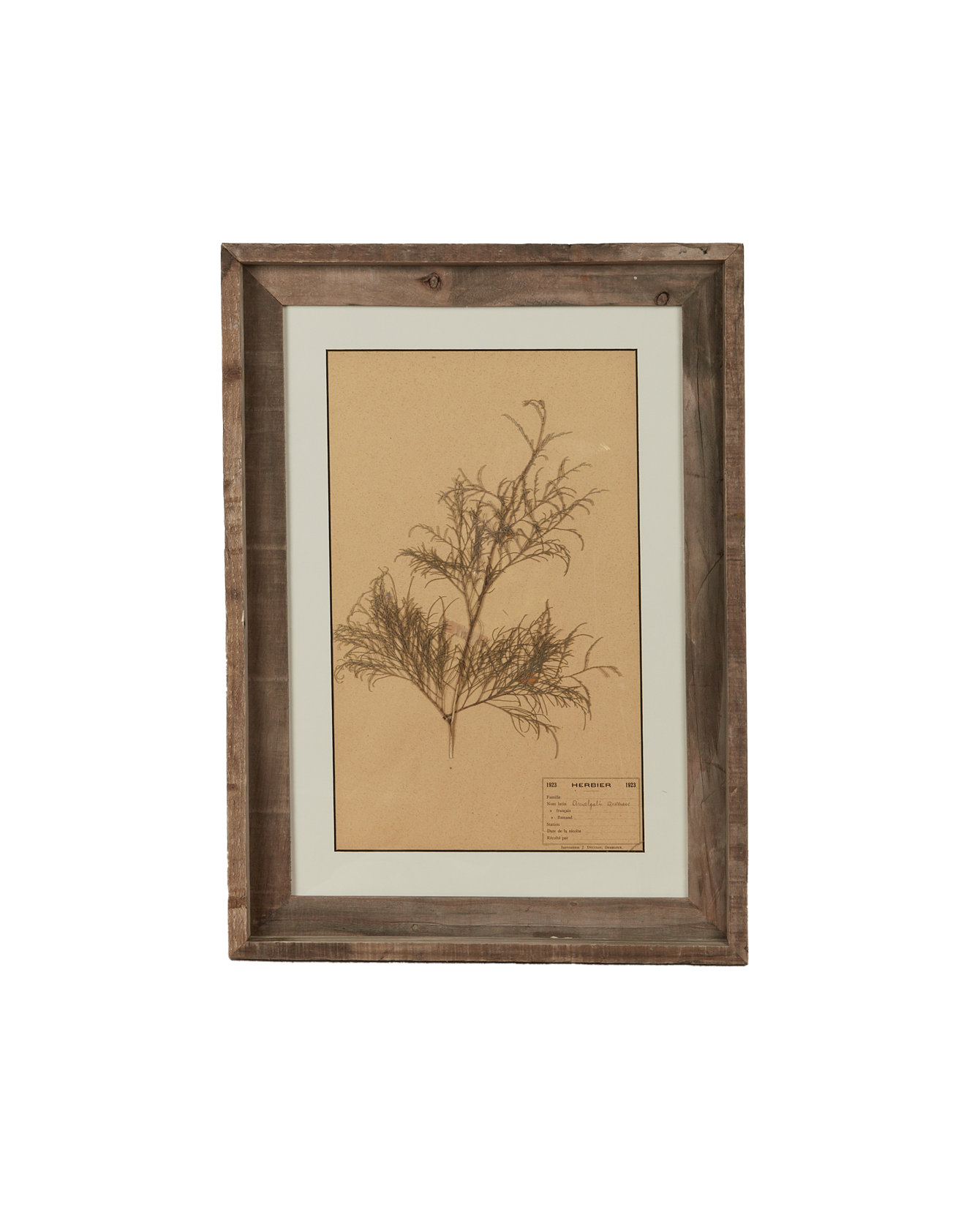 Antique Les Fleurs du Temps from France made of Canvas