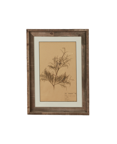 Antique Les Fleurs du Temps from France made of Canvas