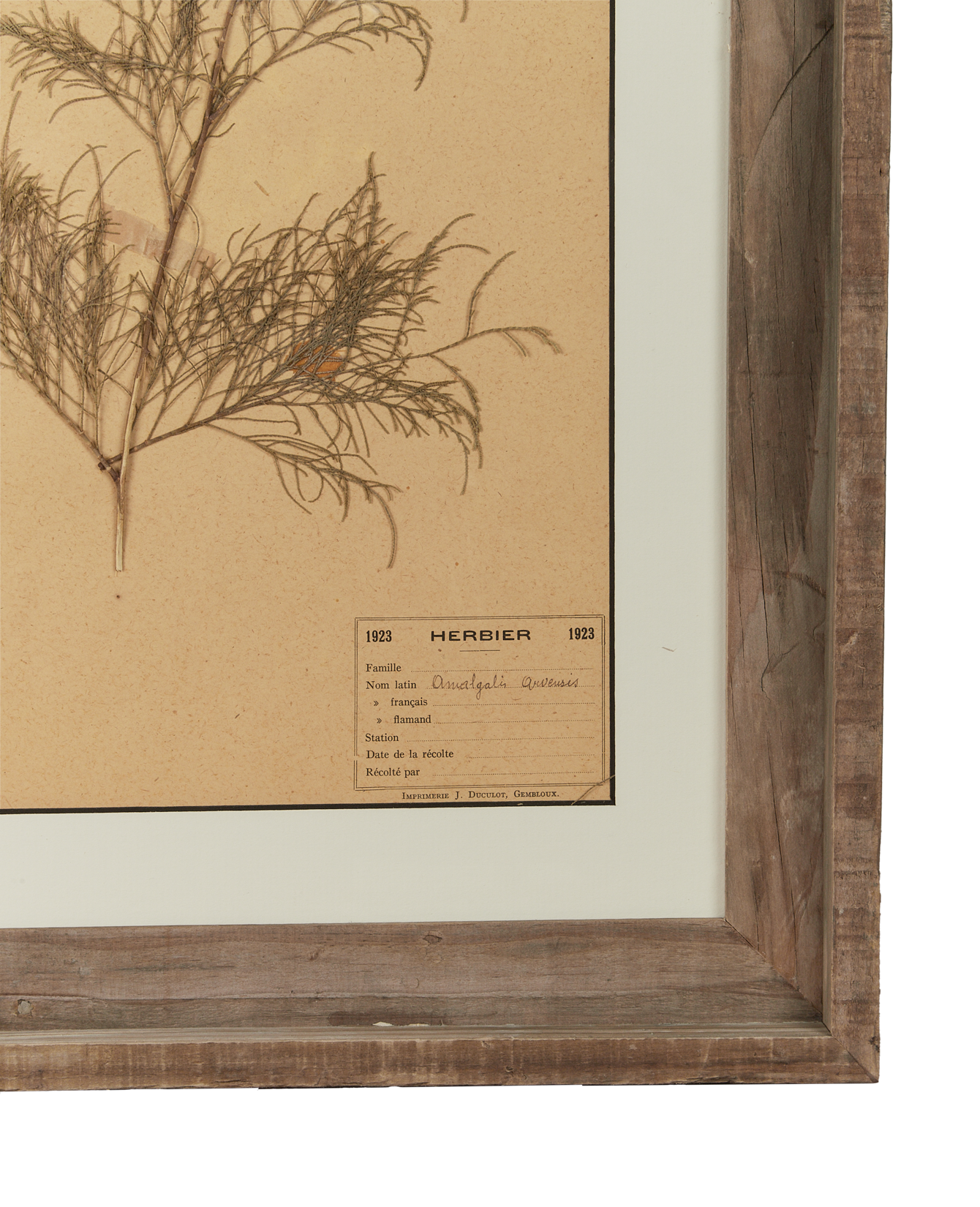 Antique Les Fleurs du Temps from France made of Canvas