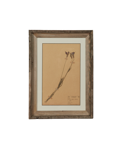 Antique Les Fleurs du Temps from France made of Canvas