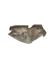 Willy Guhl Planter - Elephant