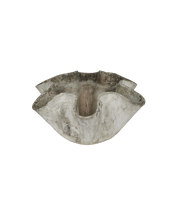 Willy Guhl Planter - Organic