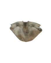 Willy Guhl Planter - Organic