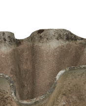 Willy Guhl Planter - Organic