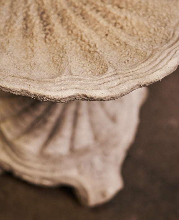 Cast Shell Bird Bath