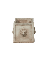 Cast Lion Planter Box