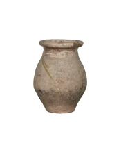 Biot Jar