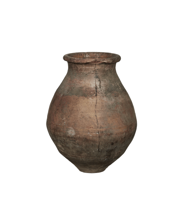 Biot Jar