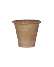 Scalloped Fiore Pot