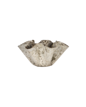 Willy Guhl Planter - Organic