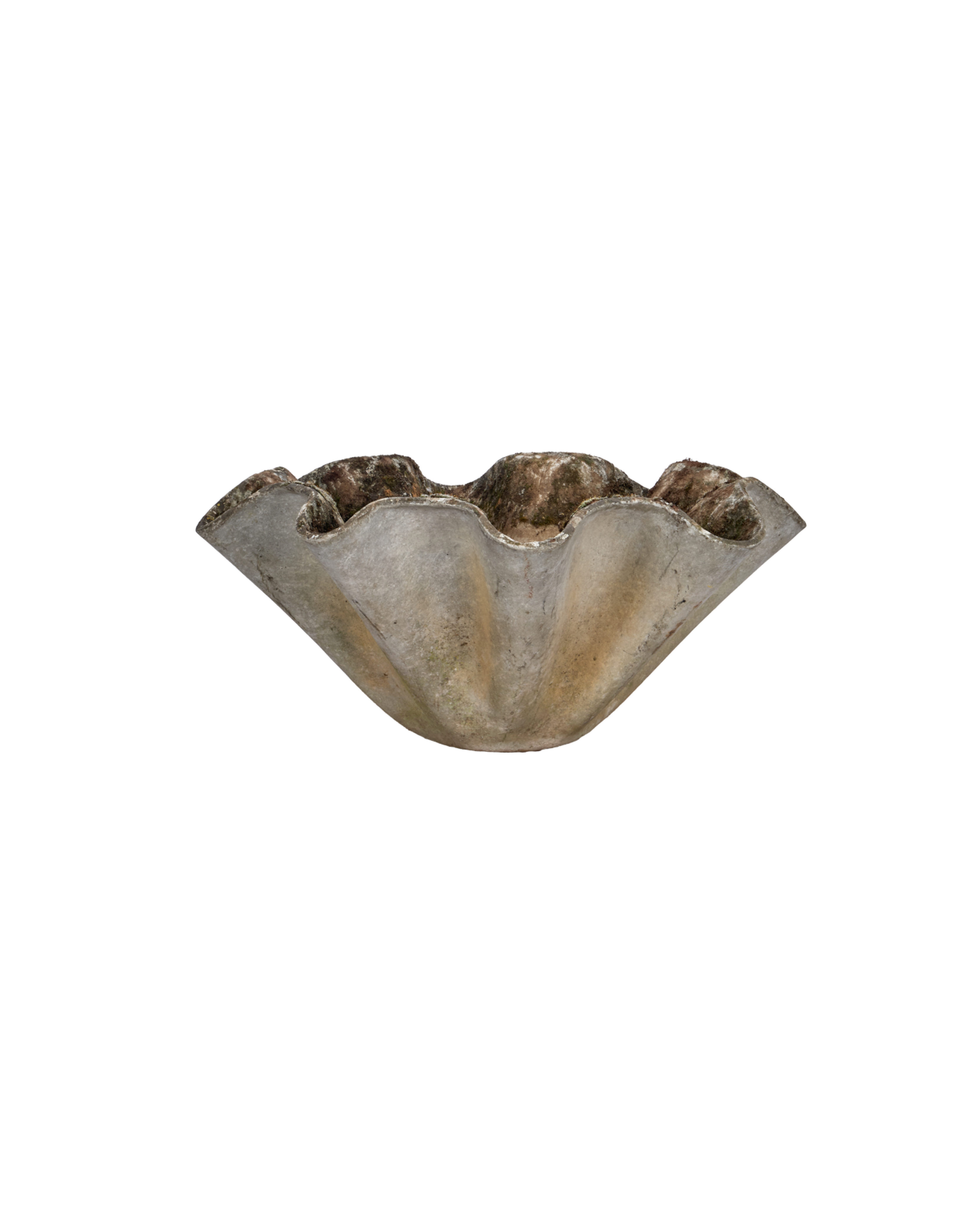 Willy Guhl Planter - Organic