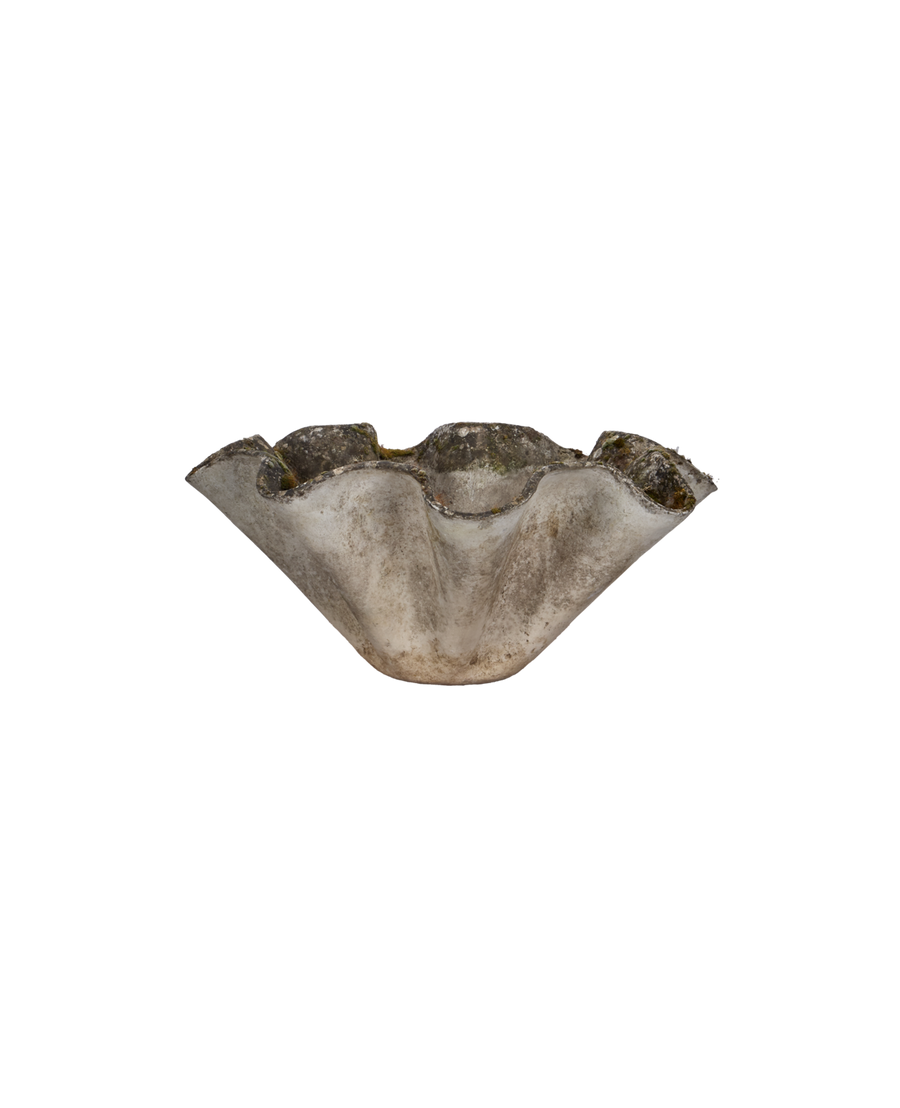 Willy Guhl Planter - Organic