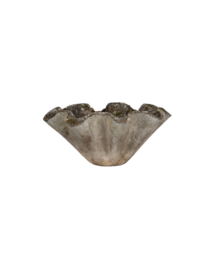 Willy Guhl Planter - Organic