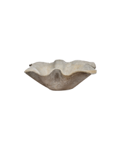 Willy Guhl Planter - Elephant