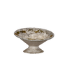 Willy Guhl Planter - Soucoupe