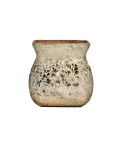 Terracotta Vase Planter