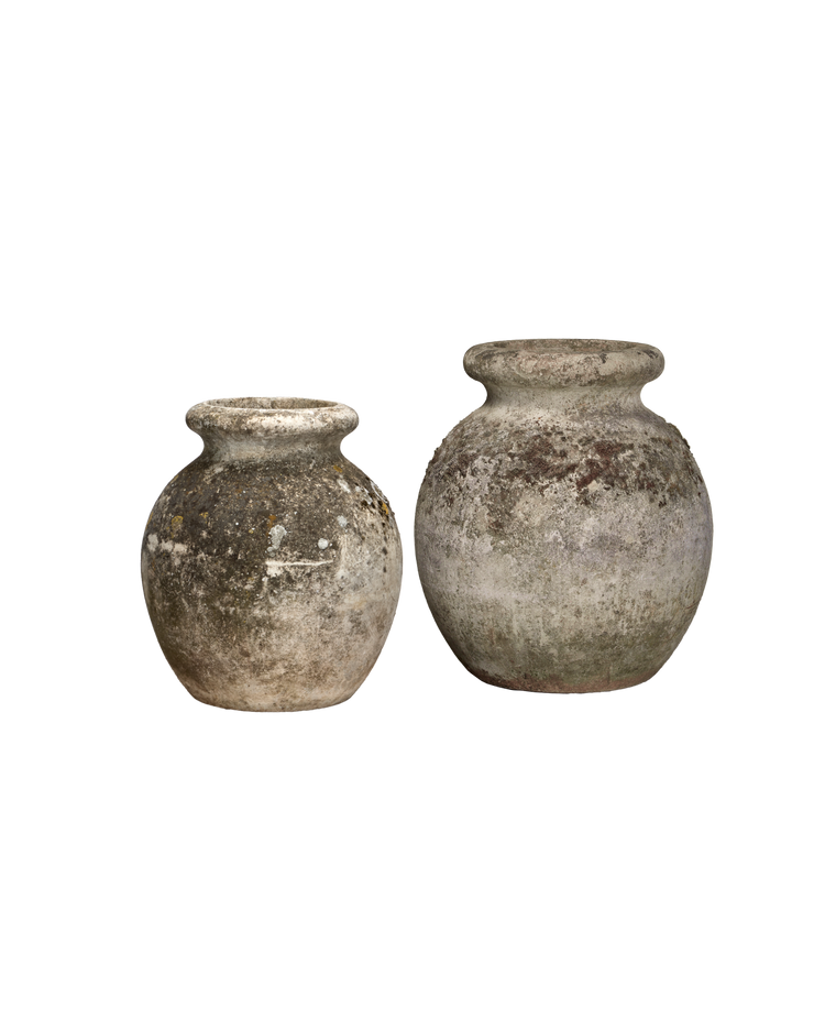 Willy Guhl Planter - Colossal Assorted