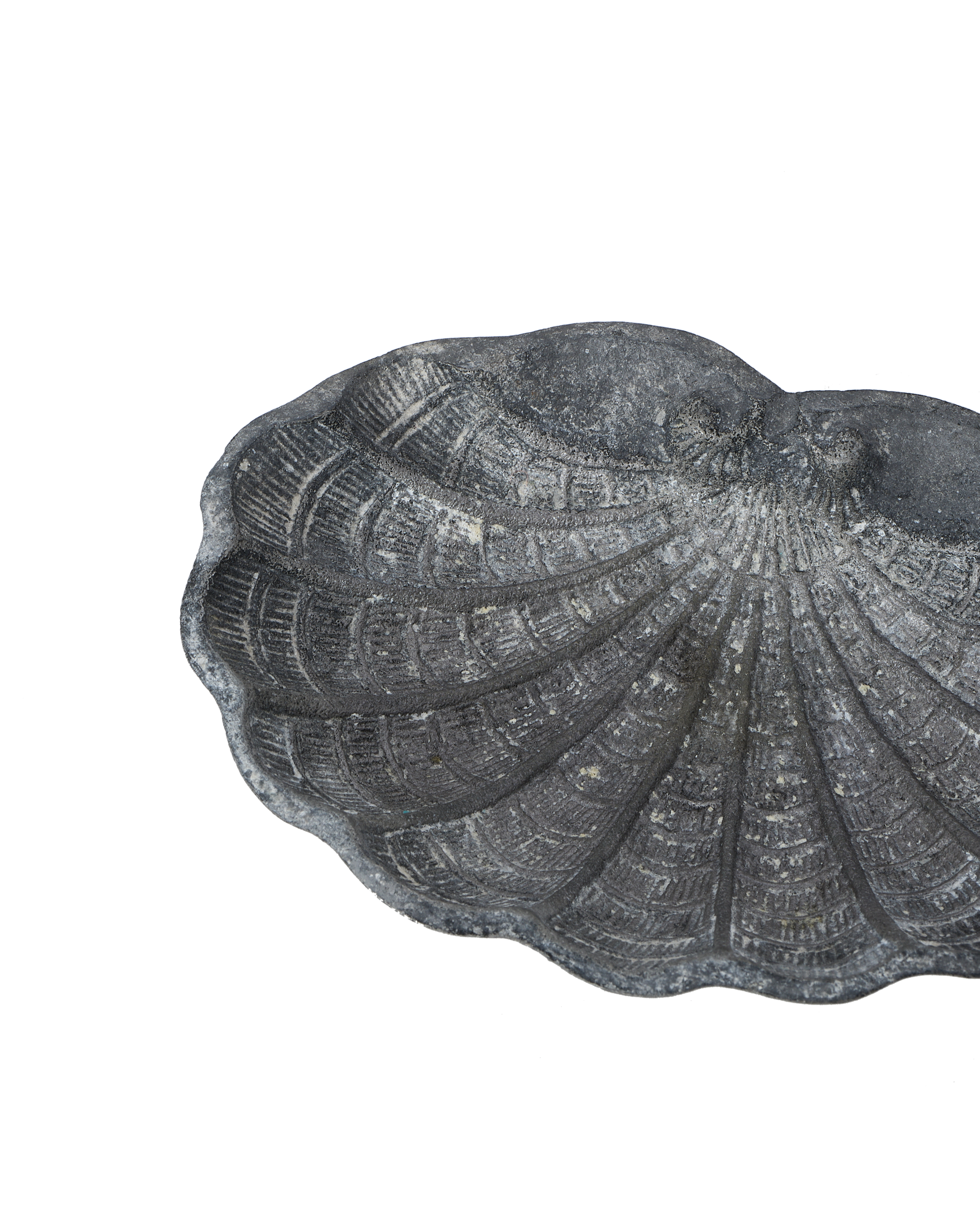 Small Shell Vide Poche