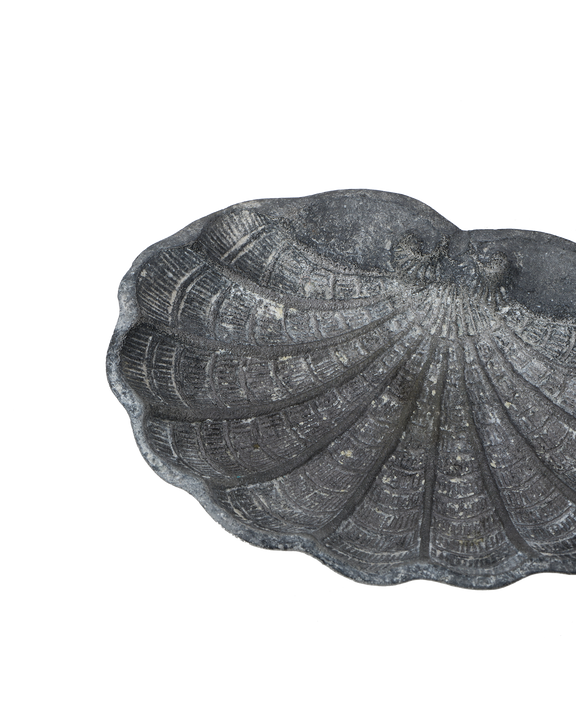 Small Shell Vide Poche