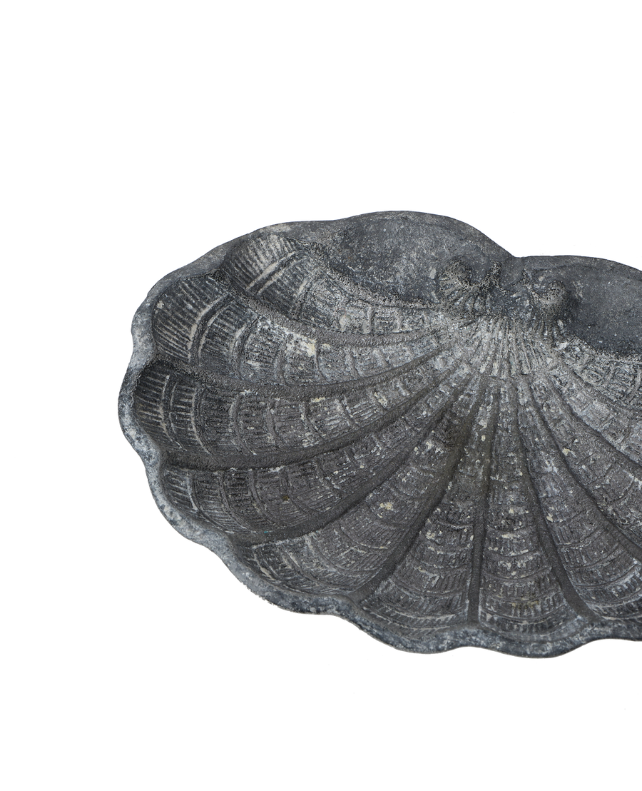 Small Shell Vide Poche