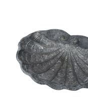 Small Shell Vide Poche