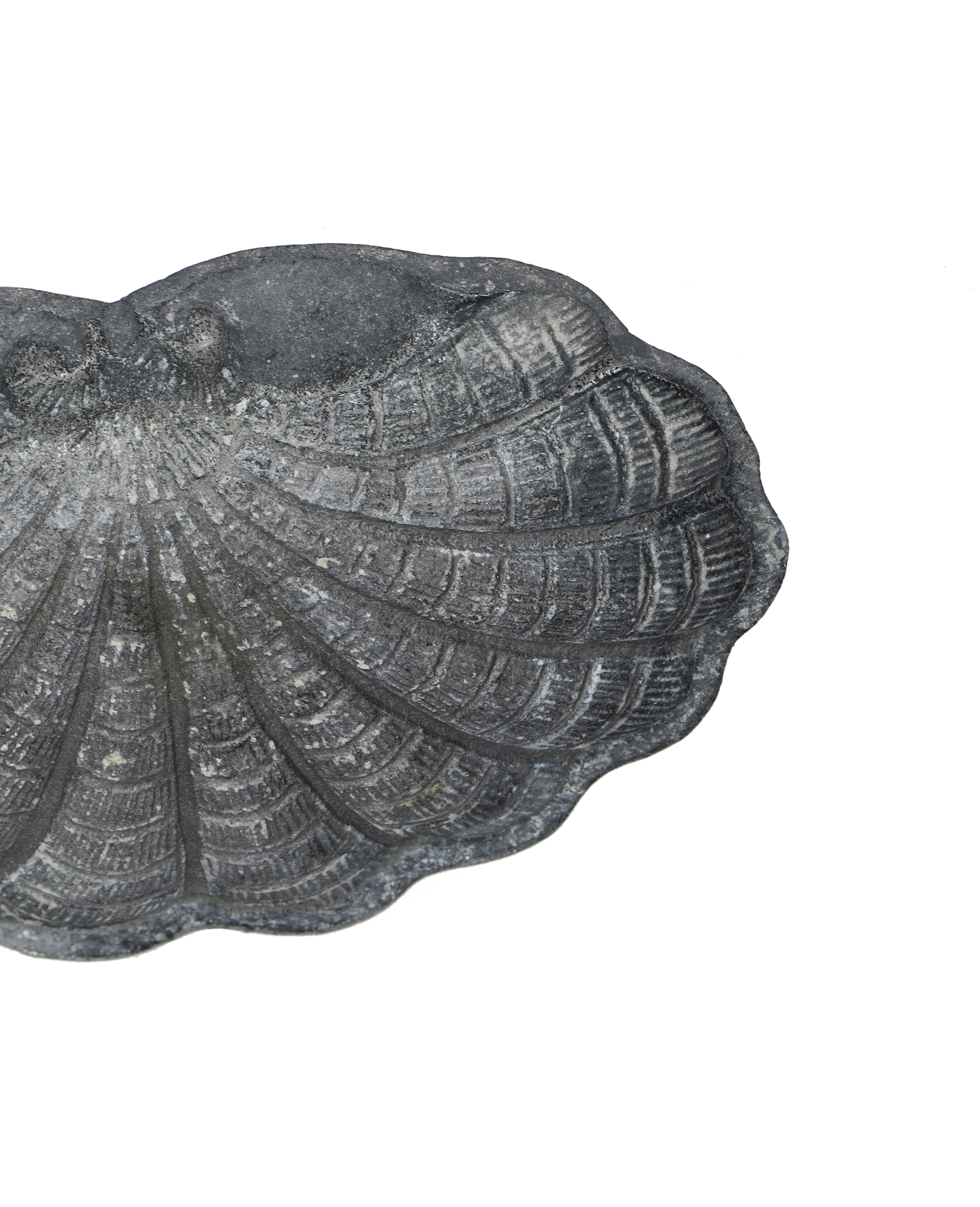 Small Shell Vide Poche