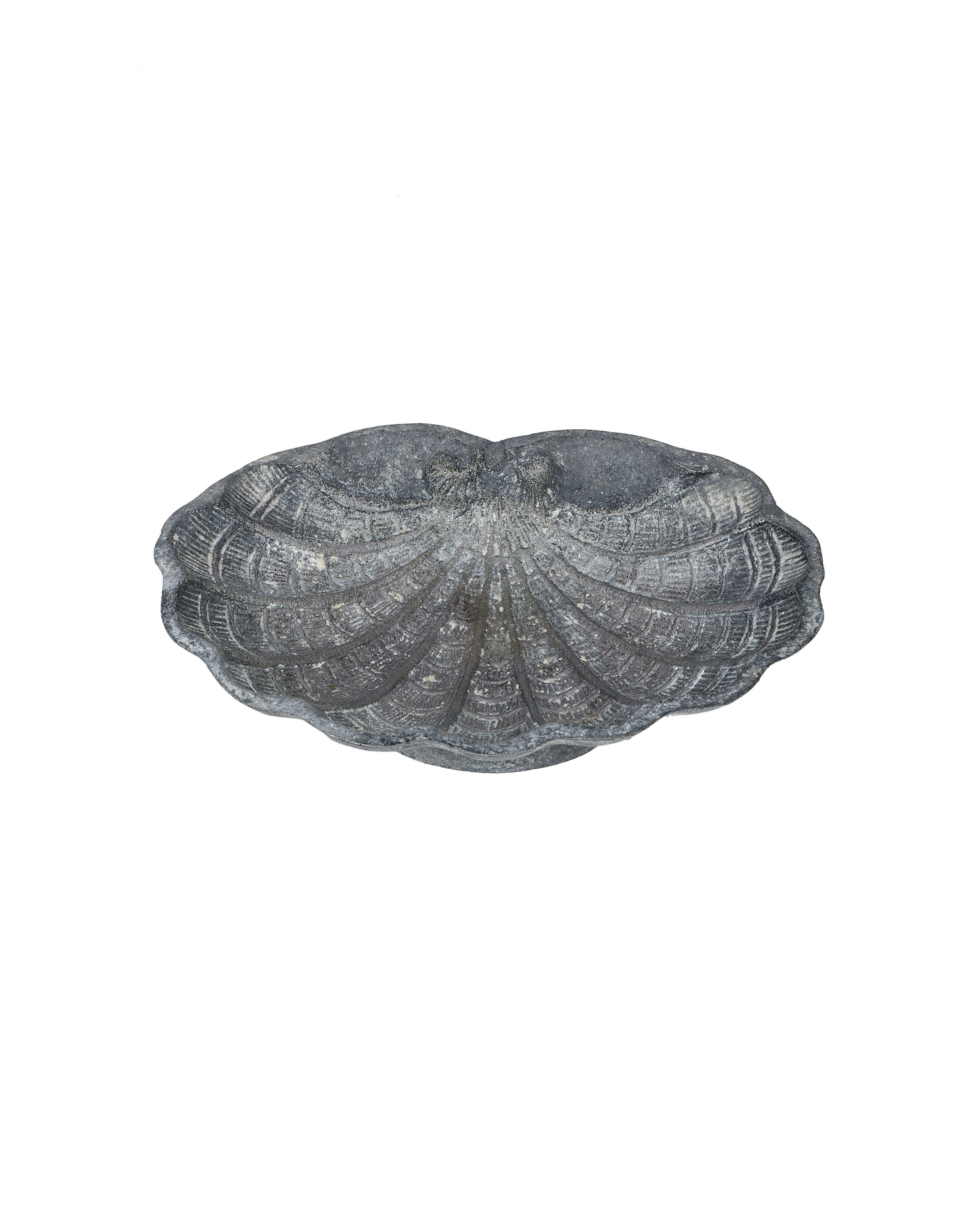 Small Shell Vide Poche