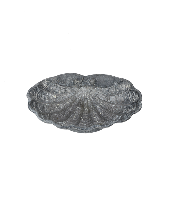 Small Shell Vide Poche