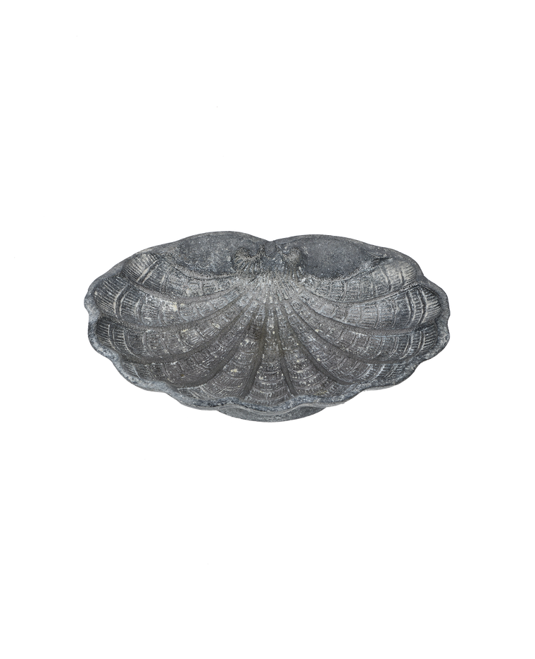 Small Shell Vide Poche